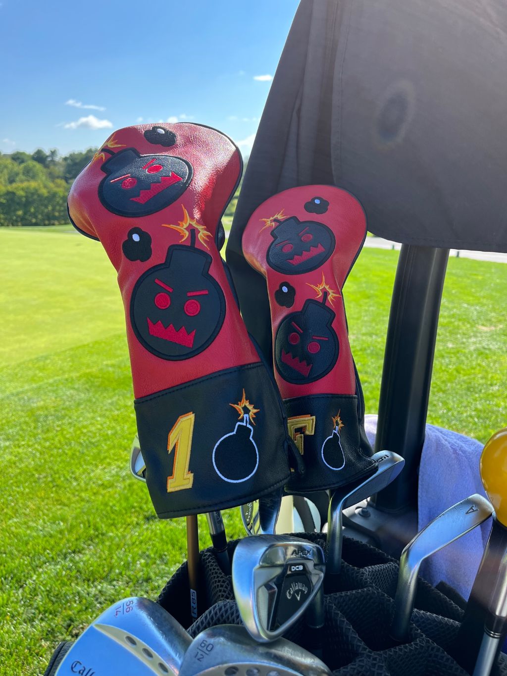 Golf Head Covers that Wow