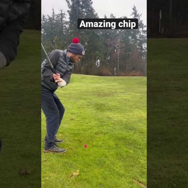 Erstaunlicher Chip #Kanada #Golf #lustig #amazingshot #golfswing #golftips #amazing #golflife