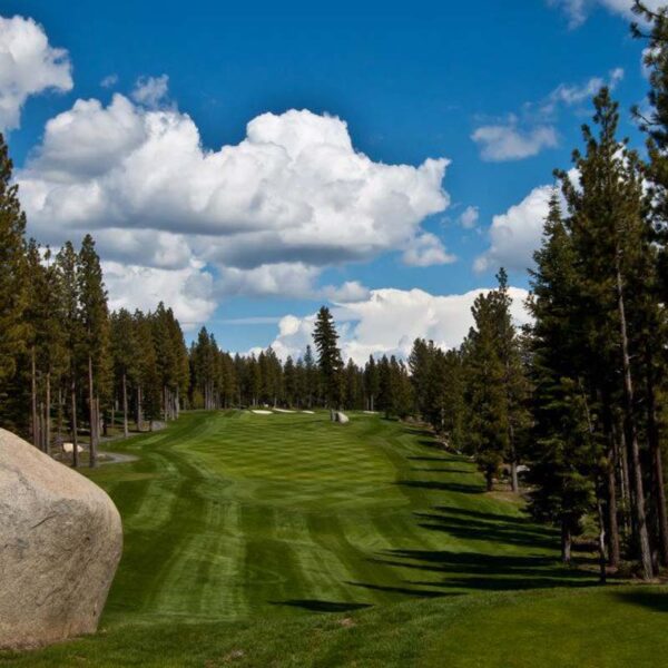 Coyote Moon Golfplatz