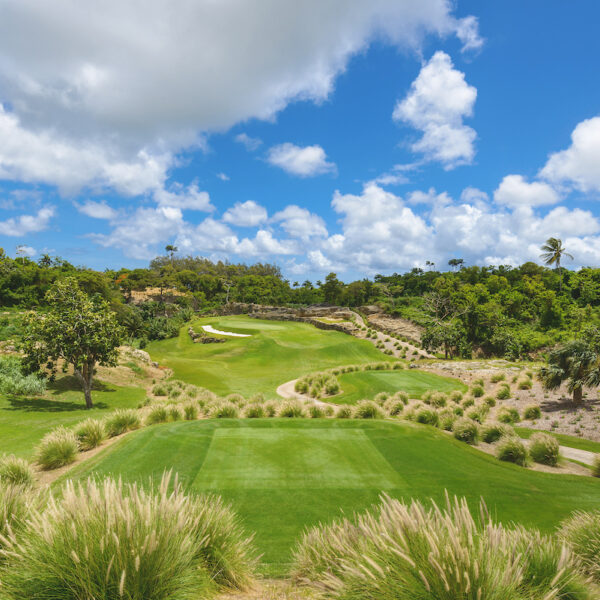 REISEBERICHT: AFFENHÜGEL BARBADOS