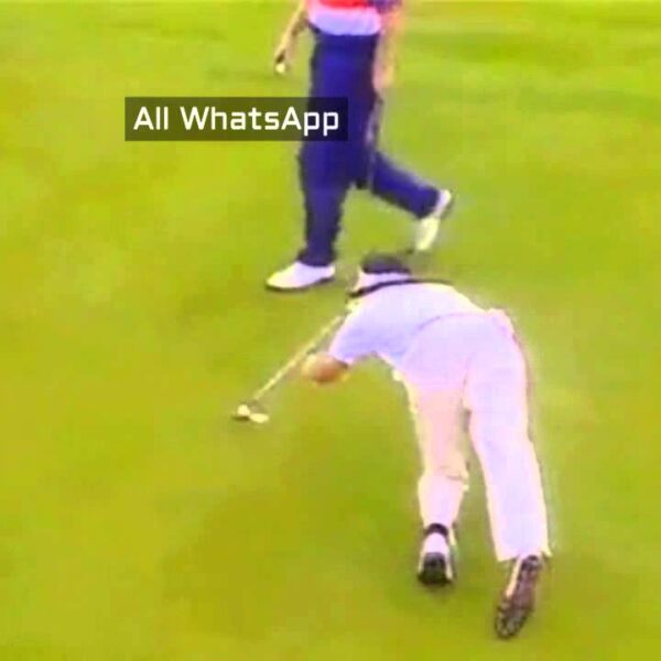 Golf funny fails | funny videos