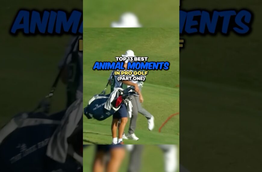 Top 13 der besten Tiermomente im Profigolf fünfhundert