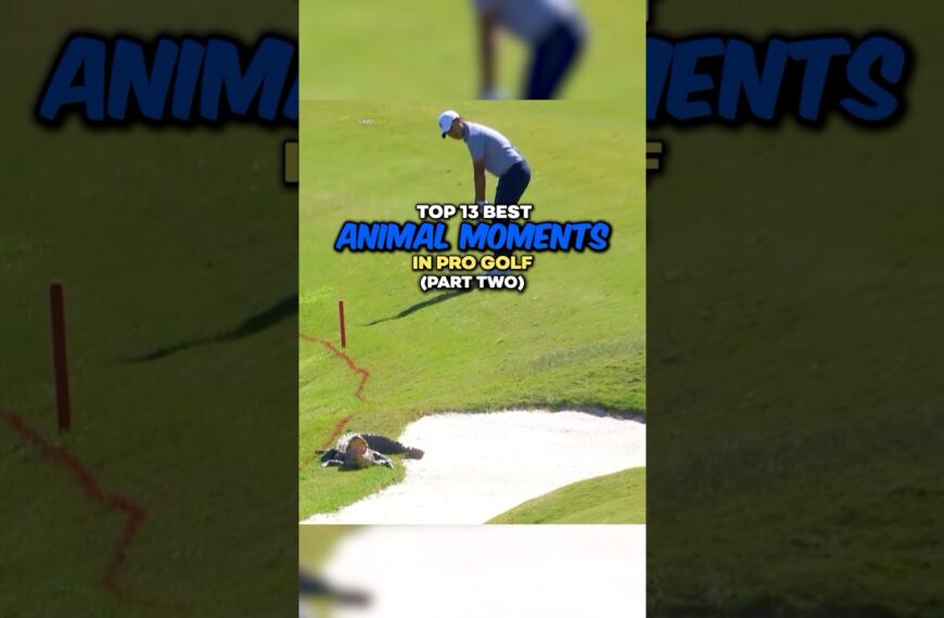 Top 13 der besten Tiermomente im Profigolf fünfhundert