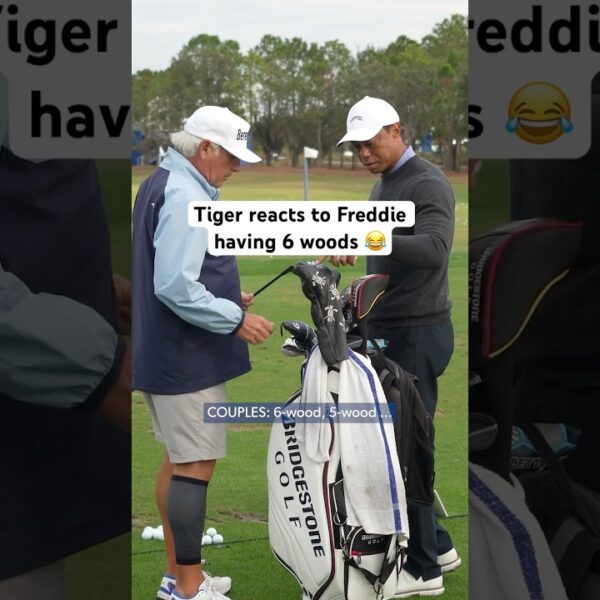 Freddie’s Tasche SHOCKS Tiger