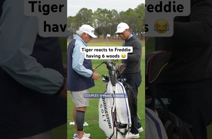 Freddie’s Tasche SHOCKS Tiger