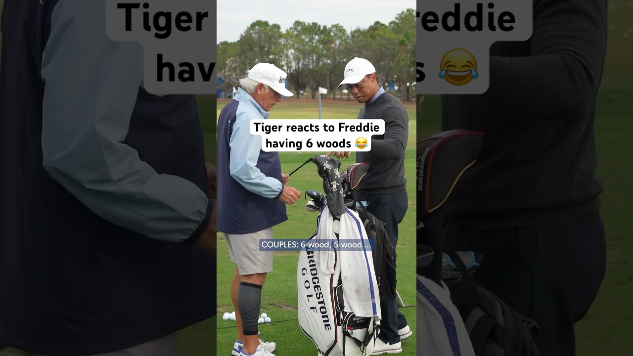 Freddie’s Tasche SHOCKS Tiger