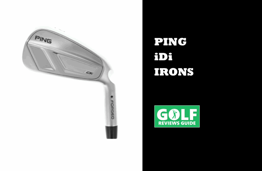 Ping iDi Eisen (NEW 2025 Launch Reviewed)