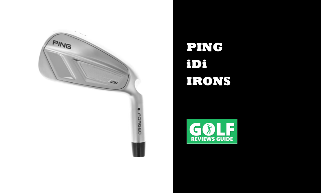 Ping iDi Eisen (NEW 2025 Launch Reviewed)