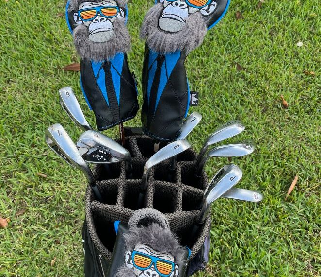 Craftsman Golf Fun Golf Headcovers – Niche Golf